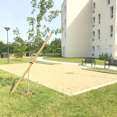 Domitys Rosa Gallica